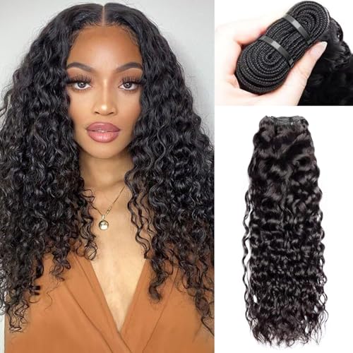 Pelo virgen brasileño Water Wave 10A de calidad superior y doble trama
