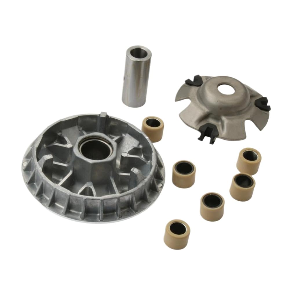 Juego de rodillos variadores de 18,2 g de peso compatible con Arctic 250 2x4 DVX 250 cc ATV de 4 tiempos