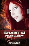 Cover zum Buch Shantai: Feuer im Kopf