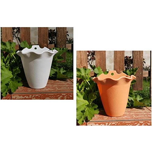Pots de fleurs suspendus pour végétaliser un petit espace sans encombrer le sol - 6