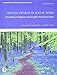 Mental Health in Social Work: A Casebook on Diagnosis and Strengths Based Assessment