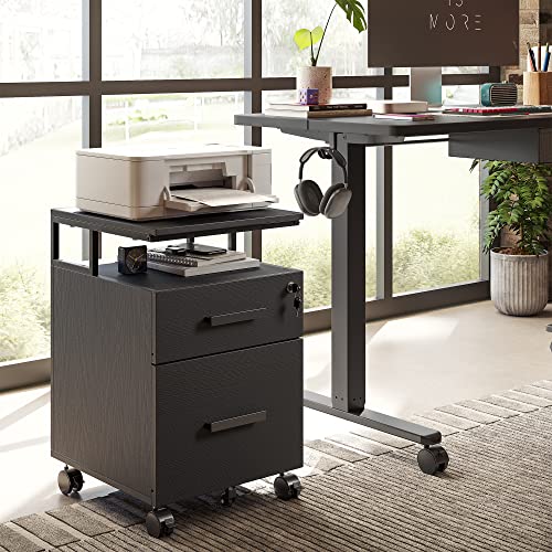 Image of FEZIBO 2-Drawer File Cabinet With Lock for Home Office, Rolling Under Desk Storage for A4, Letter Size, Printer Stand, Wooden Mobile Cabinet, Deep Black