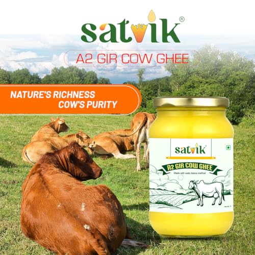 Image of Satvik Pure Ghee A2 Gir Cow Ghee 500gm Churned from Vedic Bilona Method | Bilona Ghee | A2 Cow Desi Ghee 500ml