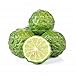 20pcs / semillas de lima kaffir bolso, semillas de cal, (Citrus aurantifolia),...