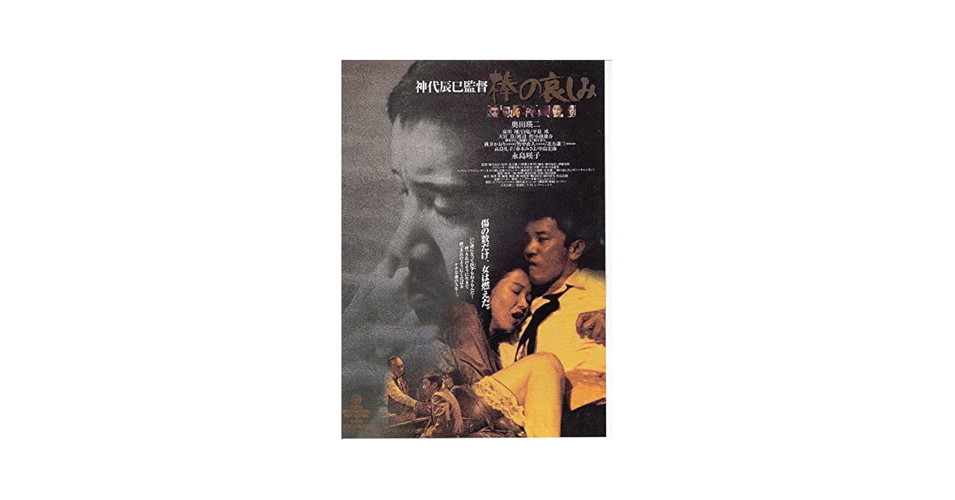 houti1471 ○邦画チラシ 【棒の哀しみ 】奥田瑛二 永島映子 監督