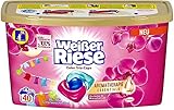 Weißer Riese Color Trio-Caps Aromatherapie Essentials Waschmittel mit Orchidee & Macadamiaöl, pflegendes Colorwaschmittel mit ätherischen Ölen, die zu 100% natürlich sind (40 (1 x 40 Waschladungen))
