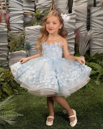 Flower Girl Dress Short Tulle Pageant Dresses for Girls 3D Flower Lace Appliques First Communion Dress for Girls Party Ball Gown Champagne Flower Girl Dress, 72
