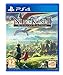 Ni No Kuni II: Revenant Kingdom (PS4)