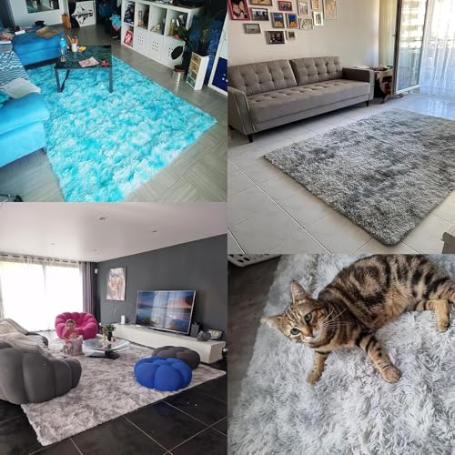 Tapis salon shaggy facile à nettoyer pour sol moderne