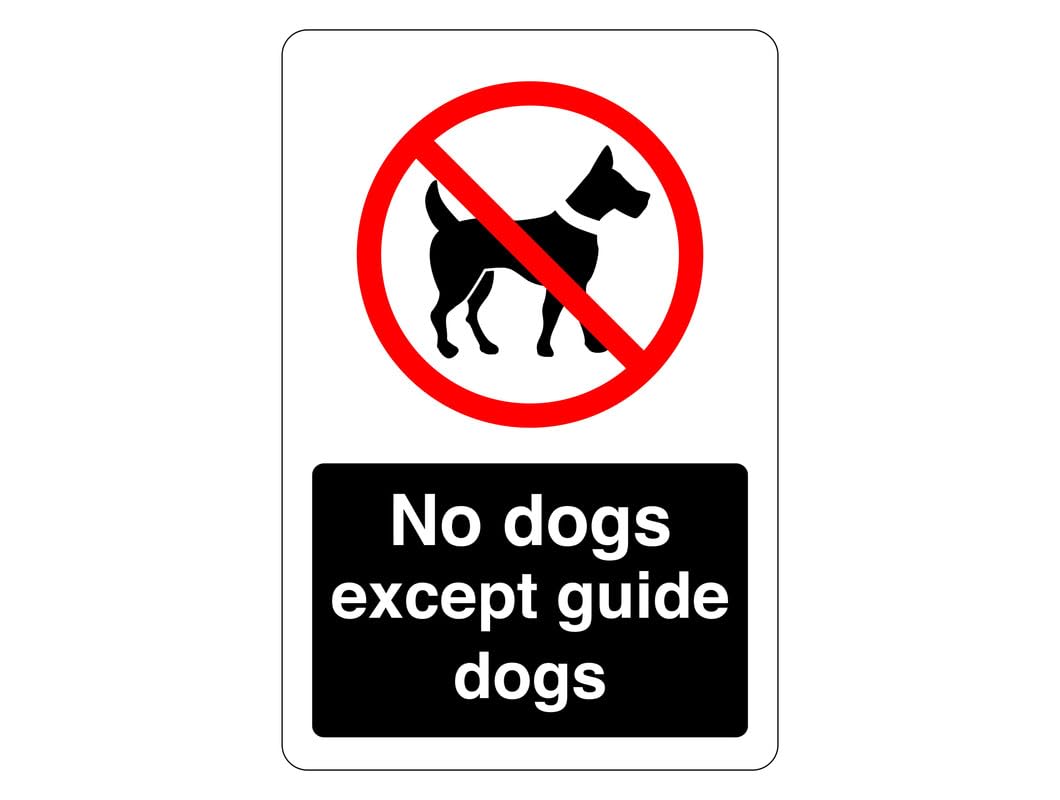 Cartello con scritta No dogs except guide dogs – Adesivo autoadesivo ad alta aderenza (150 mm x 100 mm) Distanza di visualizzazione entro 3 m