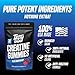 TASTY GAINS Creatine Gummies - 90g of Creatine Monohydrate - Workout Supplements - Build Muscle & Boost Strength for Men & Women - Made in USA - Non GMO - Vegan Friendly (Large, Blue Raspberry)