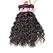 Longqibeauty Brazilian Water Wave Virgin Hair 3 Bundles Remy Human Hair Weave Double Weft 300g Natural Color (12 14 16 Inches)