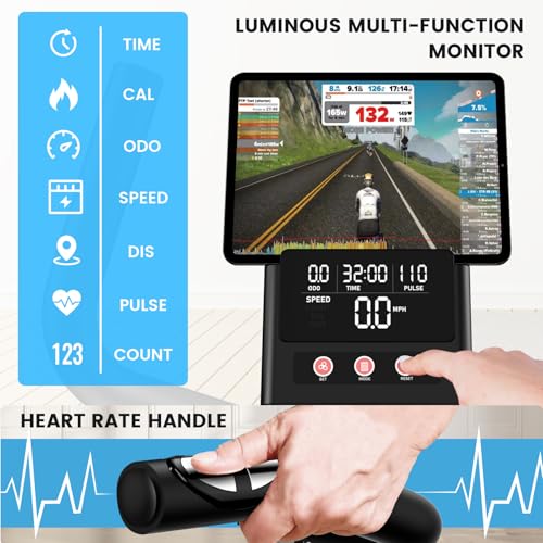 Recumbent Bike with High Back Support