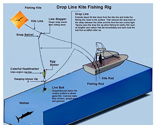 Tigress Ceramic Kite Rings For Big Game Kite Fishing, Includes 8 1/2" Kite Rings, Great For Fishing Shark, Wahoo, Mahi Mahi, Tuna Or Sailfish (88662) #TOP1