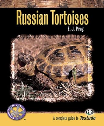Russian Tortoises book cover