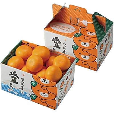 みかん せとか みきゃん箱入り 青秀 2L～Mサイズ 2.5kg 愛媛県 中島産 ミカン 蜜柑 贈り物