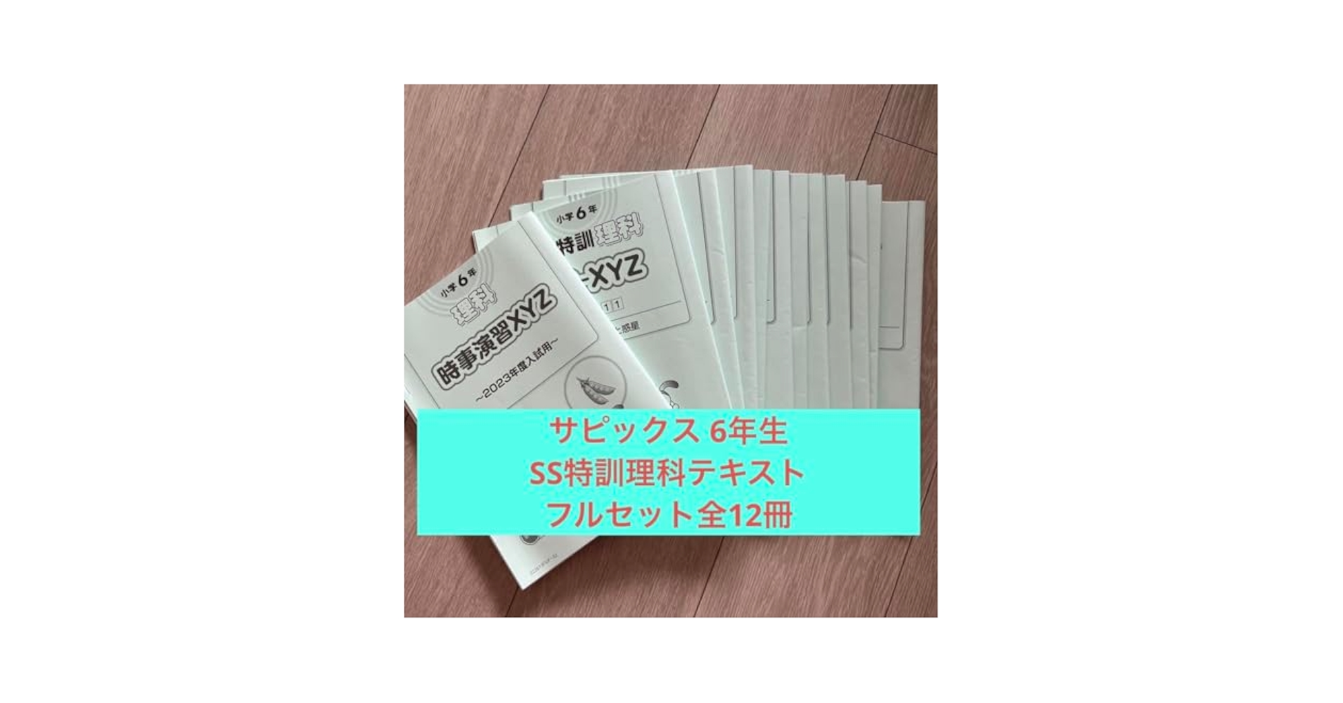 ㉑あ　SAPIX ＳＳ特訓単科講座 サピックス６年 理科知識論理力  14回分 ㉑あ SAPIX SS特訓単科講座 サピックス6年 理科知識論理力 14回分