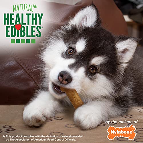 Image of Nylabone Healthy Edibles Puppy Dog Treats, Lamb & Apple Flavor, 3 Count | Natural puppy treats, USA made, highly digestible, vet recommended, small dog treats for puppies up to 25 lbs