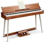 Donner DDP-80 PLUS Digital Piano 88 Key Weighted Keyboard, Home Electric Piano, Supports USB-MIDI & Headphones Connection, Semi-open Cover Designed, with Metal Three Pedal, Power Adapter
