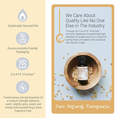 Aceite esencial puro Frankincense Serrata 15ml miniatura 3