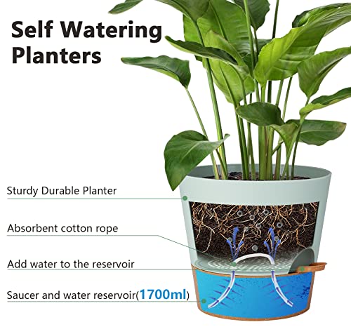 Bloempot, set van 2 stuks, kunststof bloempot met irrigatiesysteem, modern, voor binnen en balkon, tuin, planten, vetplanten, cactus (groen) - Afbeelding 3