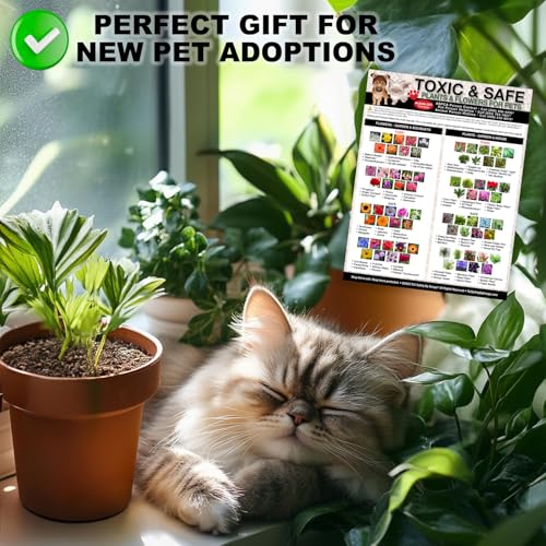 Lista magnética plantas tóxicas para mascotas 8.5x11 pulg miniatura 5