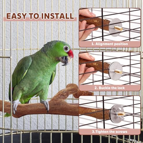 Image of 4PCS Bird Perch Natural Wooden Parrot Stand, 2 Grape Wood Perch, 2 Stand, Paw Grinding Fork Parakeet Chewing Stick Exercise Training Branches for Cockatiels, Small Birds