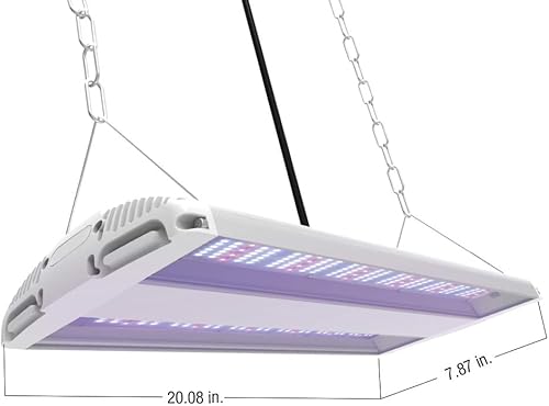 Miniatura 4 de Feit Electric Luz LED de crecimiento de plantas de espectro completo de 20 pulgadas y 175 W, espectro azul, enriquecido para el crecimiento vegetal,