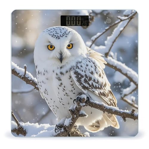 Báscula Digital para Baño Winter White Owl de Vidrio Templado miniatura 1
