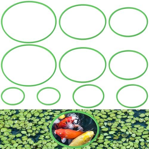 Amazon.com : PAGOW 10pcs Fish Feeding Rings Set, Floating Aquarium ...