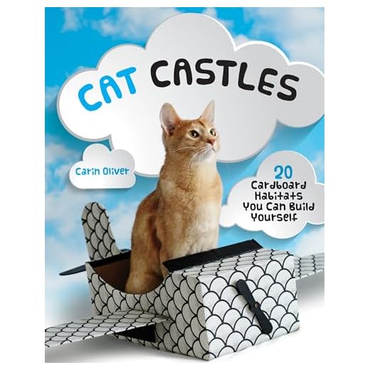 Cat Castles: 20 Cardboard Habitats You Can Build Yourself