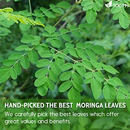 120 Moringa Leaf Tea Bags, 100% Natural & Pure from Moringa Leaves. Loose Leaf Moringa Herbal Tea. Moringa Leaf Tea. No Sugar, No Caffeine, No Gluten, Vegan. - Image 6