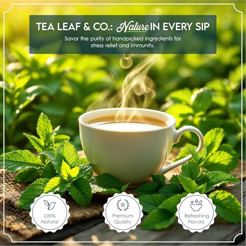 Image of Harmony Delight Loose Leaf Green Tea Combo Variety Gift Pack, 9 Flavors | Elegant Gifting Tea Set, Aromatic & Rich Flavor, Classic Green Tea & Herbal Blends, Perfect for Tea Lovers & Everday Wellness