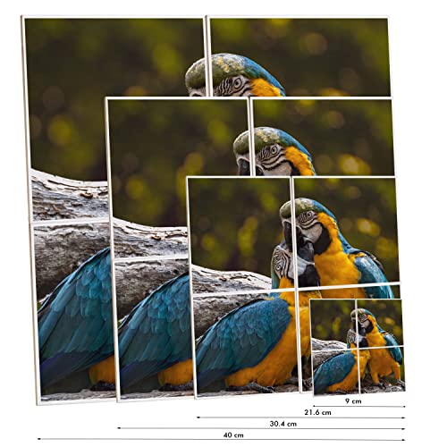 Oiseaux Perroquets Céramique 40x40 cm - Cadeau Saint Valentin Idéal