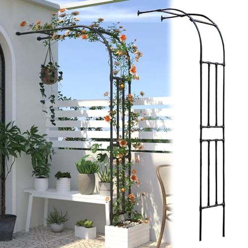 Arche de Treillis de Jardin en Métal Robuste et Résistant aux Intempéries