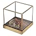 MyGift 5 inch Glass Plant Terrarium, Lidded Shadow Box w/Vintage Brass Frame