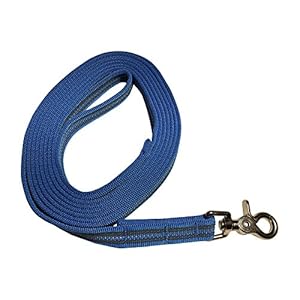 DOGS and MORE – Rubberen sleeplijn/zoeklijn/veldlijn met reflecterende strepen => 3 meter (met polsband) – oranje, blauw of paars