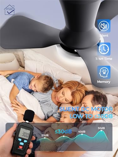Image of LANMEL Ceiling Fan with Light, Modern Flush Mount Low Profile with Remote Control, Reversible, 3CCT Dimmable, Quiet,LED for Bedroom, Living Room, Indoor /Outdoor Patio Use 22 Inch Silver & Black