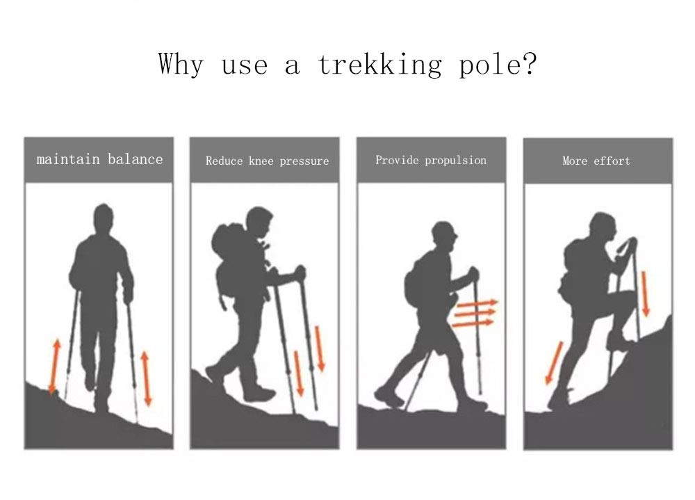 Kije trekkingowe pięciokrotne lotnictwo materiał z włókna węglowego, długość przechowywania 35 cm, wbudowany drut gumowy, para na sprzedaż, niebieski