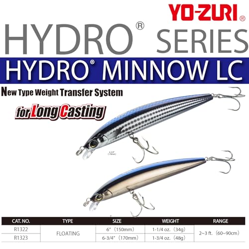 Hydro Minnow LC 170 mm flottant polycarbonate lançon mer - 2