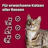 animonda Vom Feinsten Senior, Nassfutter für ältere Katzen ab 7 Jahren & Nassfutter Katze Adult - mit Putenherzen 32 x 100g - hochwertiges Premiere Katzenfutter Nass getreidefrei