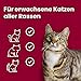 animonda Vom Feinsten Senior, Nassfutter für ältere Katzen ab 7 Jahren & Nassfutter Katze Adult - mit Putenherzen 32 x 100g - hochwertiges Premiere Katzenfutter Nass getreidefrei