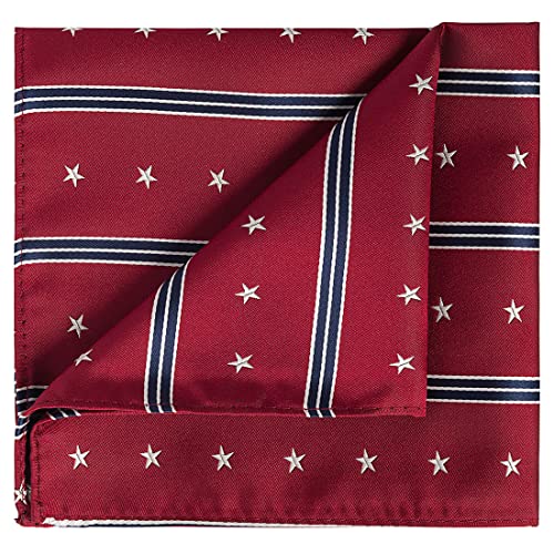 Image of KissTies Mens Pocket Square Silk Hanky The USA Pattern Handkerchief