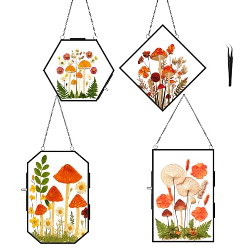 Cadre fleurs pressées double verre noir | Déco murale cabinet de curiosité - 2