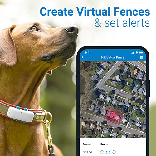 Tractive gps tracker for dogs - waterproof, gps location & smart pet activity tracker, unlimited range, works with any collar (white) 4 Tractive gps tracker for dogs - waterproof, gps location & smart pet activity tracker, unlimited range, works with any collar (white) - image 5