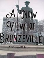A New View of Bronzeville 099077712X Book Cover