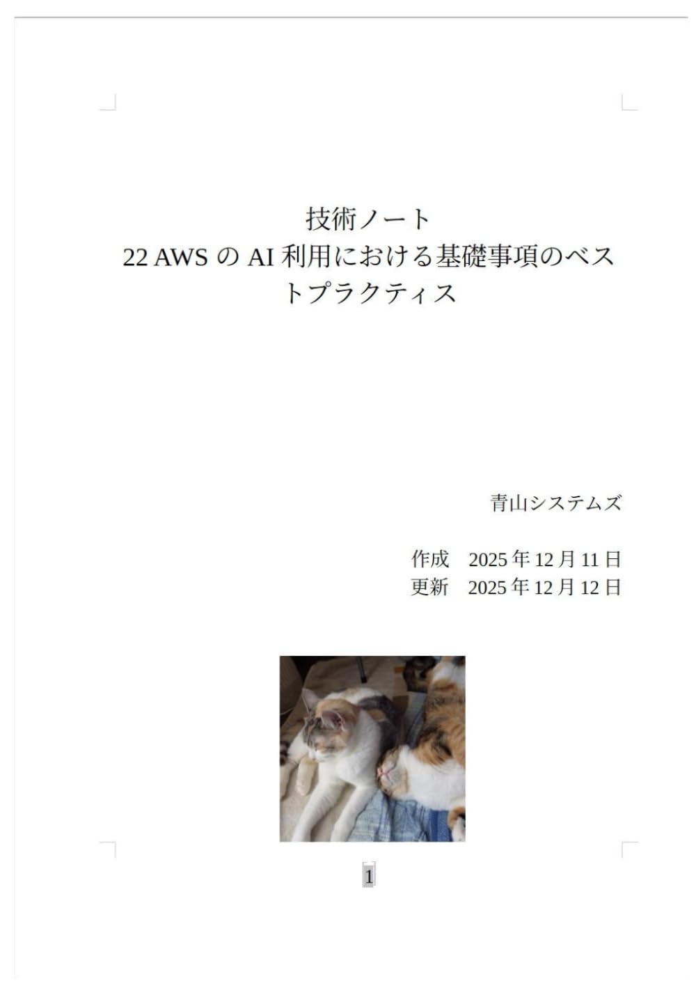 22 AWS の AI 利用における基礎事項のベストプラクティス (Technology Note)