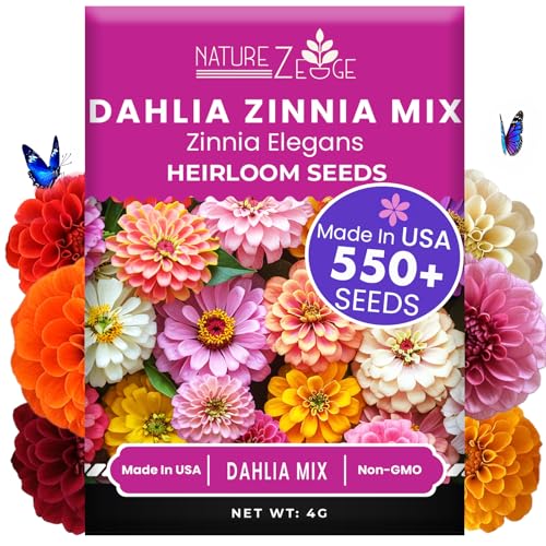 NatureZ Edge Zinnia Seeds for 2025 Planting Outdoors, Over 550 Flower Seeds, 4g, Non GMO...