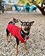 Gooby jeden Tag Fleece kaltem Wetter Weste für kleine Hunde,