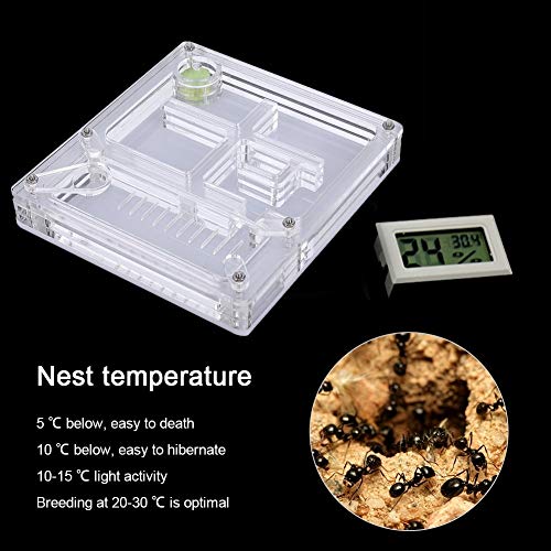 Image of Acrylic Transparent Breeding House Nest Formicarium Display Box Ornamental